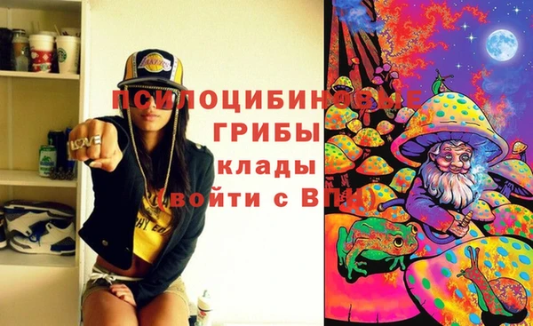 прущие крисы Медногорск