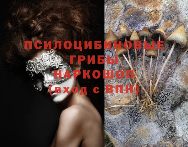 мяу мяу мука Мегион