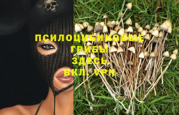 метамфетамин Медвежьегорск