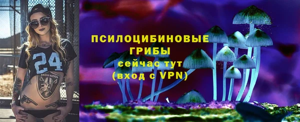 прущие крисы Медногорск