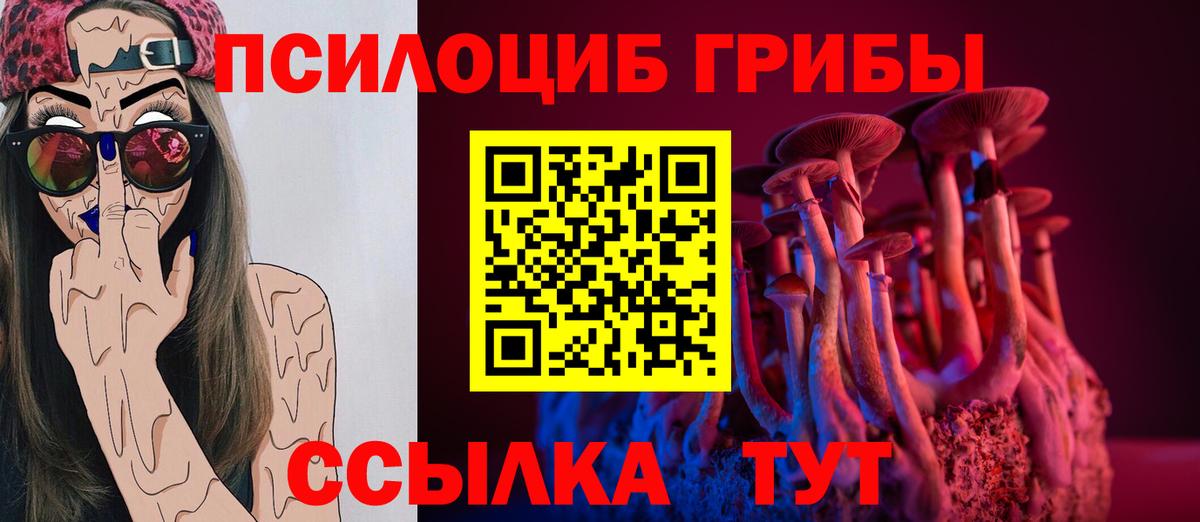 Псилоцибиновые грибы GOLDEN TEACHER  Галлюциногенные грибы мухоморы  цены   Вход с VPN  Комсомольск-на-Амуре 